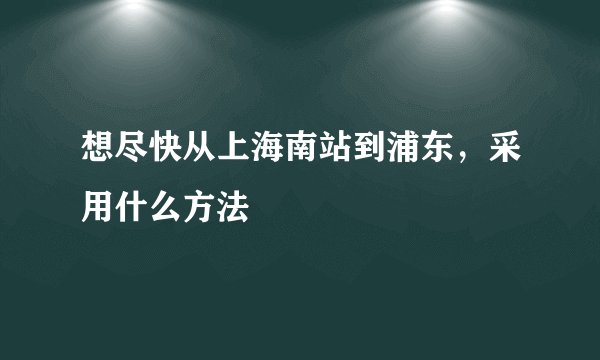 想尽快从上海南站到浦东，采用什么方法