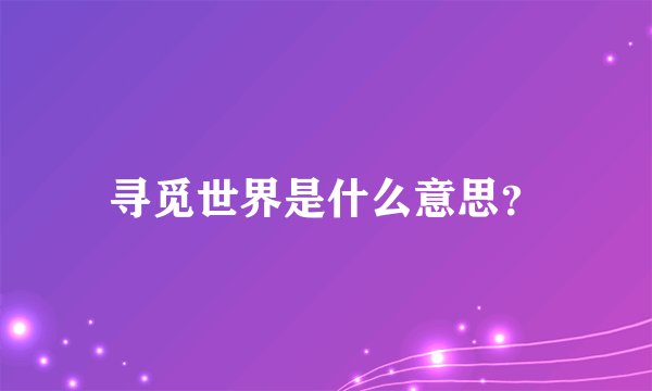 寻觅世界是什么意思？