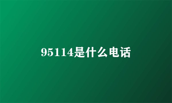 95114是什么电话