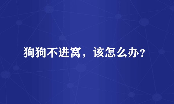 狗狗不进窝,该怎么办?