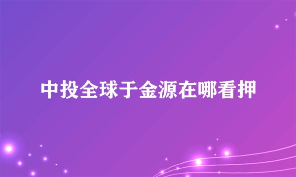 中投全球于金源在哪看押