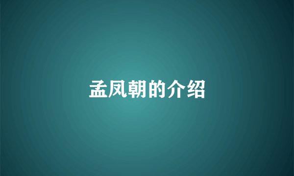孟凤朝的介绍