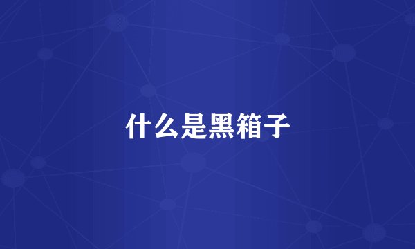 什么是黑箱子