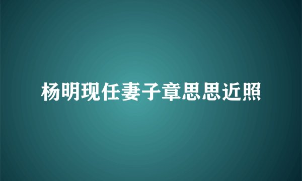 杨明现任妻子章思思近照