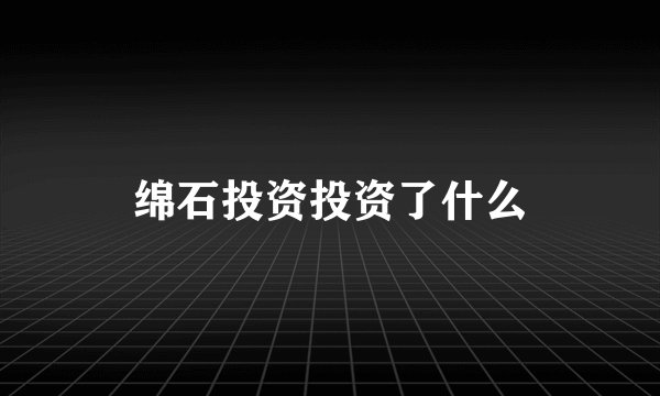 绵石投资投资了什么