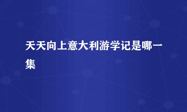 天天向上意大利游学记是哪一集