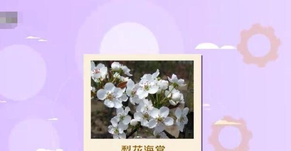 梨的组词有哪些 梨的组词是什么啊