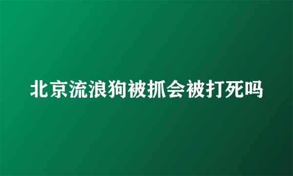 北京流浪狗被抓会被打死吗