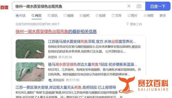 徐州一湖水质呈绿色出现死鱼