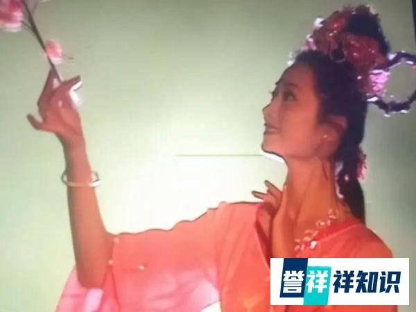 《西游记》杏仙及几个树妖和唐僧谈诗论道，被八戒屠戮殆尽，他们死的冤不冤？
