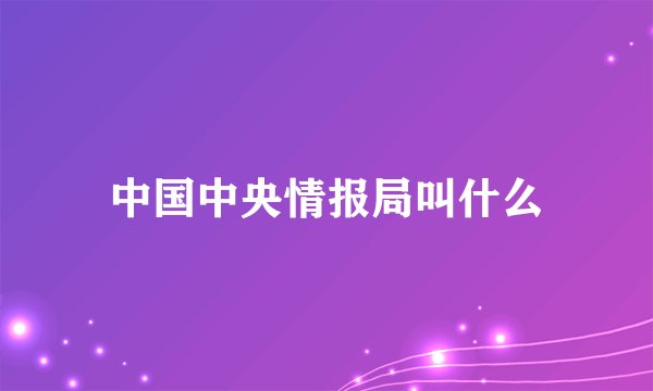 中国中央情报局叫什么