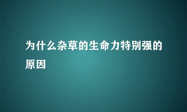 为什么杂草的生命力特别强的原因
