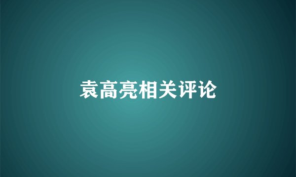 袁高亮相关评论