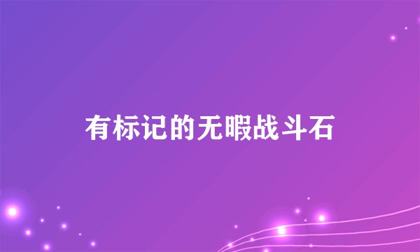 有标记的无暇战斗石