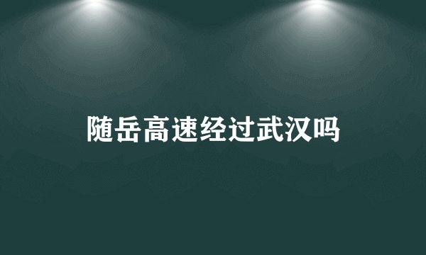 随岳高速经过武汉吗
