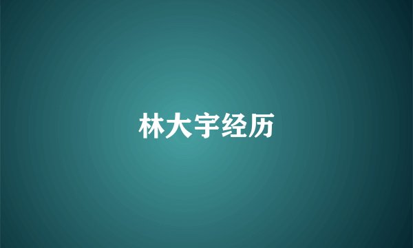 林大宇经历