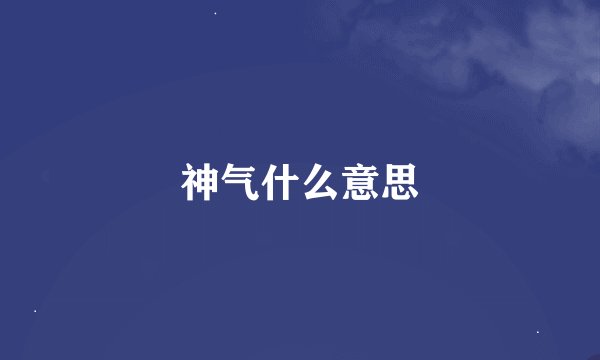 神气什么意思