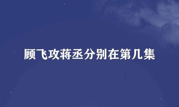 顾飞攻蒋丞分别在第几集