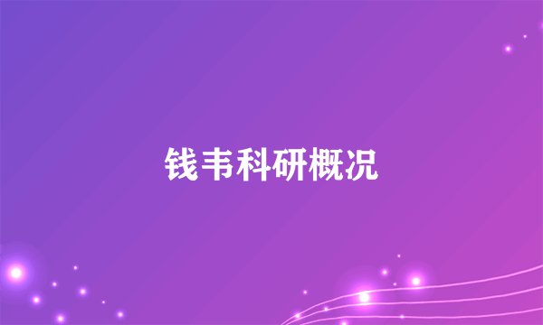 钱韦科研概况