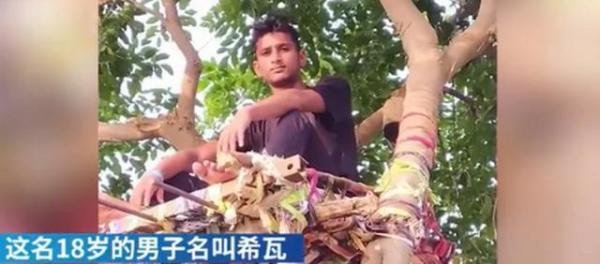 印度一男子在树上隔离11天