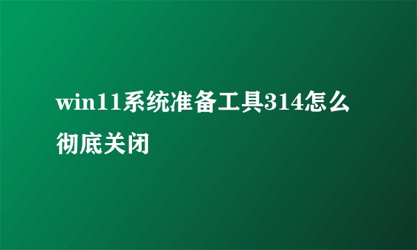 win11系统准备工具314怎么彻底关闭
