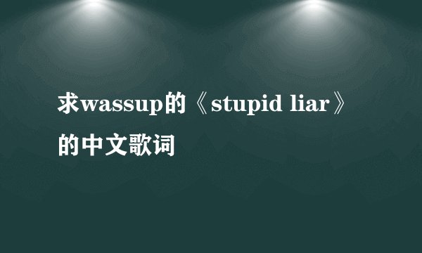 求wassup的《stupid liar》的中文歌词