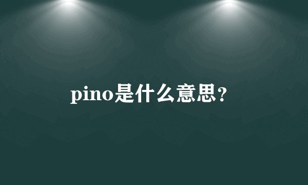 pino是什么意思？