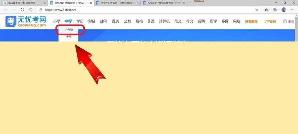 海口小升初成绩怎么查询2020