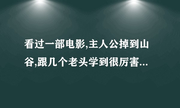 看过一部电影,主人公掉到山谷,跟几个老头学到很厉害的武功，里面还有什么神剑山庄
