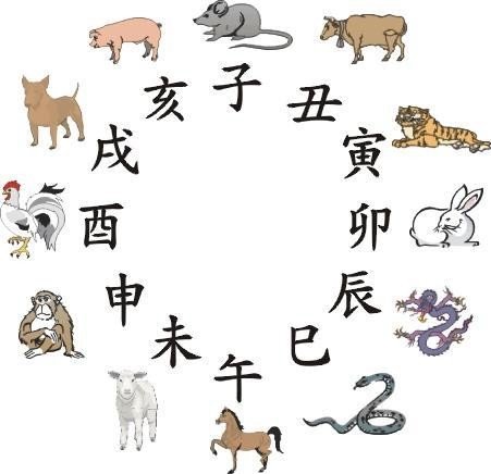低头耷脑指什么生肖