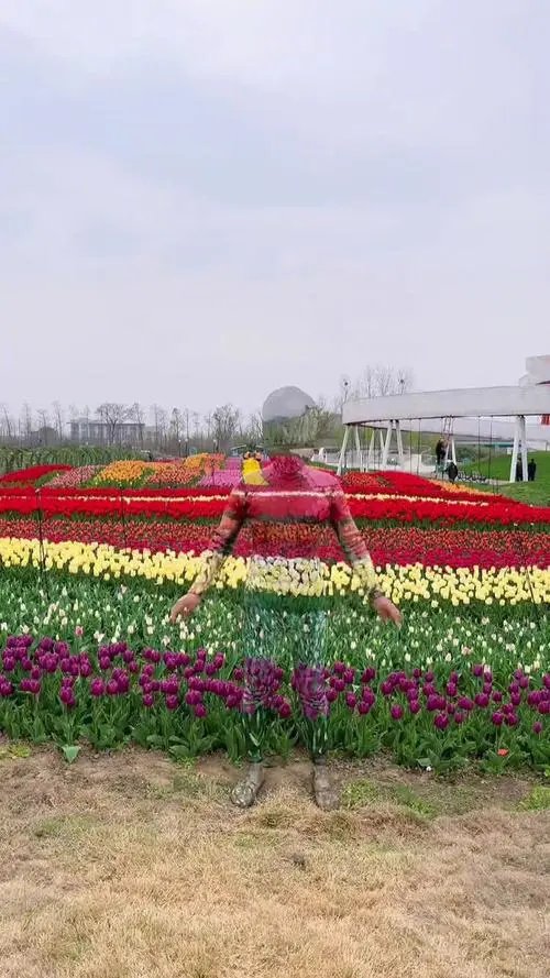 山东一男子花3小时自身作画隐身花丛，他是如何与大自然融为一体的？