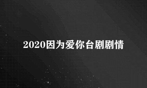 2020因为爱你台剧剧情
