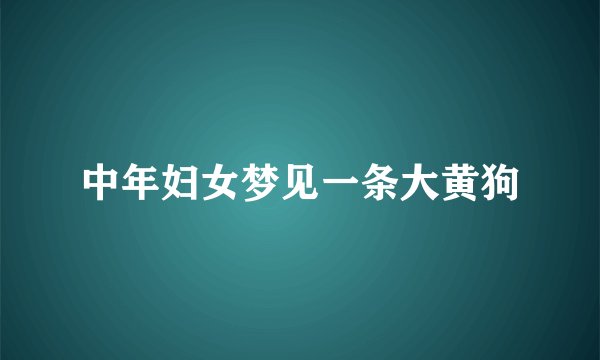 中年妇女梦见一条大黄狗