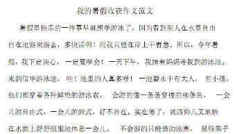 作文文档格式