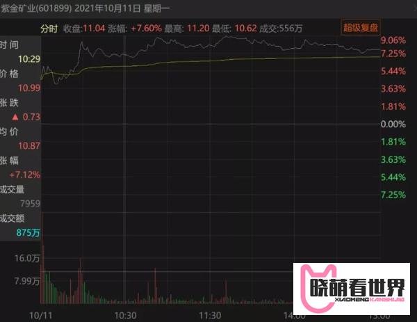 宁德时代、紫金矿业纷纷哄抢！锂矿会是下一个石油吗？