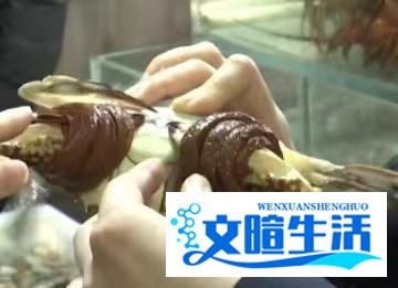 一斤皮筋卖出上百元螃蟹价