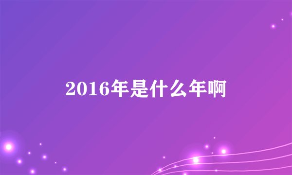 2016年是什么年啊