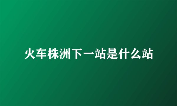 火车株洲下一站是什么站