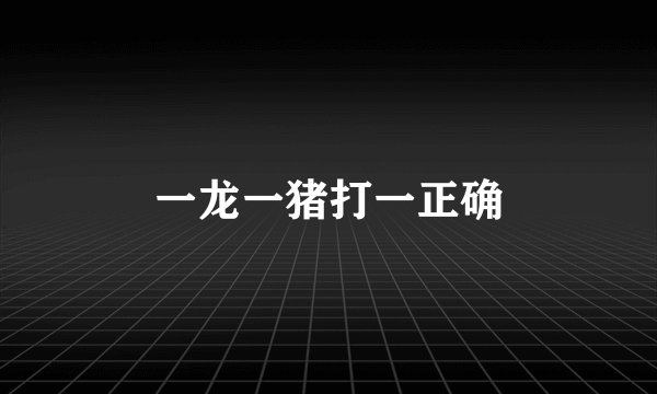 一龙一猪打一正确