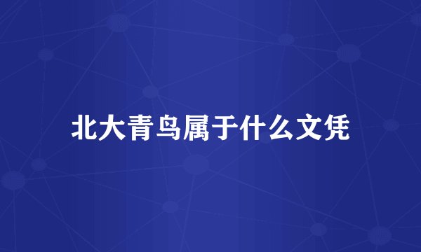 北大青鸟属于什么文凭