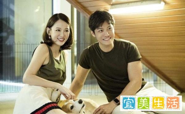 陈乔恩方否认结婚计划 这是咋情况？
