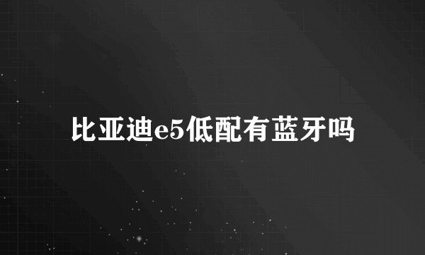 比亚迪e5低配有蓝牙吗