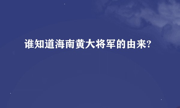 谁知道海南黄大将军的由来?