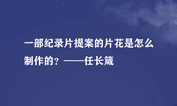 一部纪录片提案的片花是怎么制作的？——任长箴