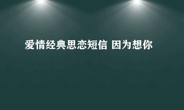 爱情经典思恋短信 因为想你