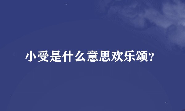 小受是什么意思欢乐颂？