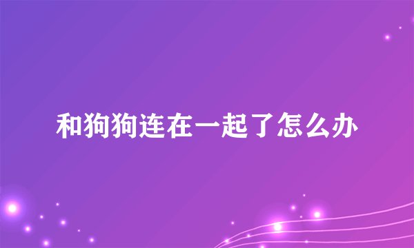 和狗狗连在一起了怎么办