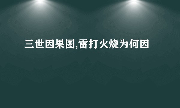 三世因果图,雷打火烧为何因