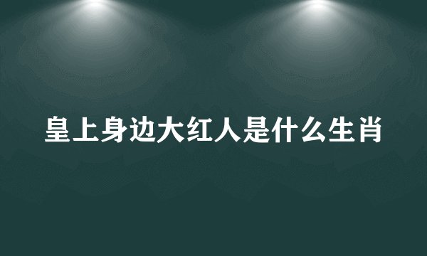 皇上身边大红人是什么生肖