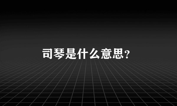 司琴是什么意思？